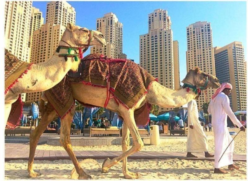 Luxury Apartments In Dubai Marina Luaran gambar